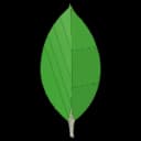 MongoDB Logo